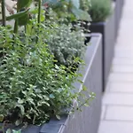 La Terrazza Di Luca Tavernelle
