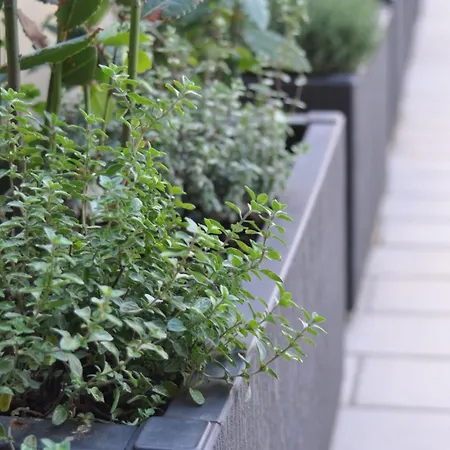 La Terrazza Di Luca Tavernelle (Panicale)