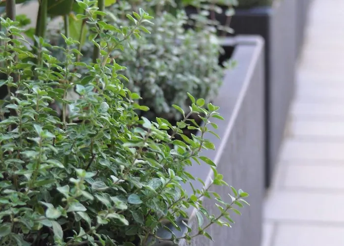 La Terrazza Di Luca Tavernelle